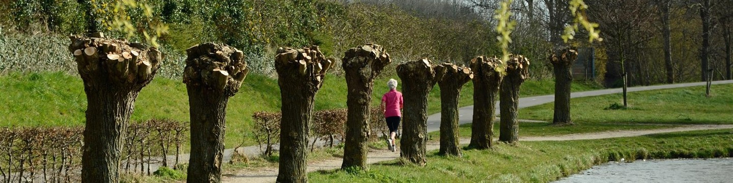 Omgevingsprogramma-groen-water