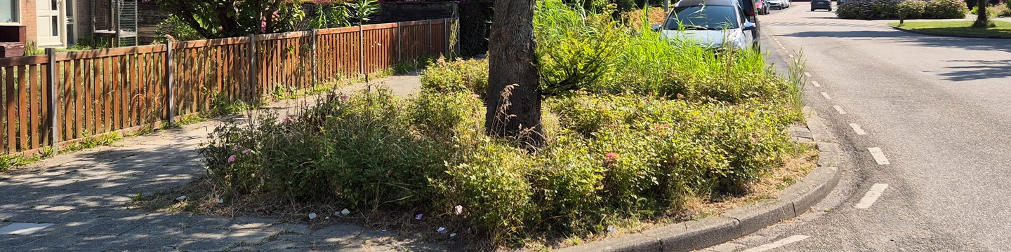 Plantvakken langs de weg