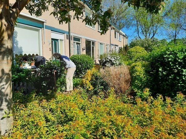 Biodiversiteit in eigen tuin